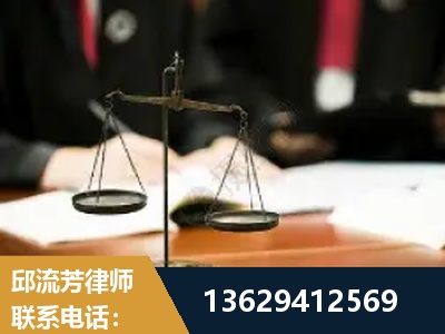 湛江-抚养权