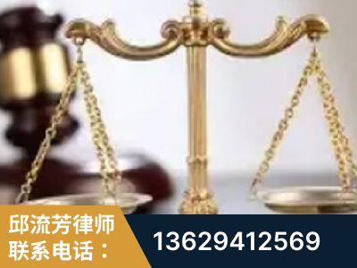 湛江-委托诉讼代理人出庭